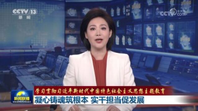 【学习贯彻习近平新时代中国特色社会主义思想主题教育】凝心铸魂筑根本 实干担当促发展