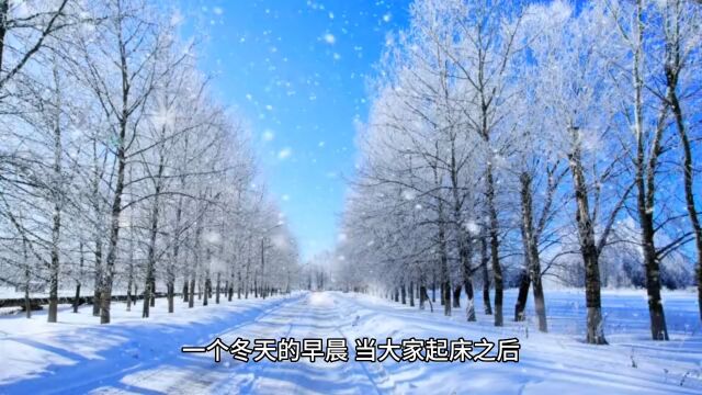 雪无踪情有意雪有情,化成轻盈的泪滴——《初见雪》