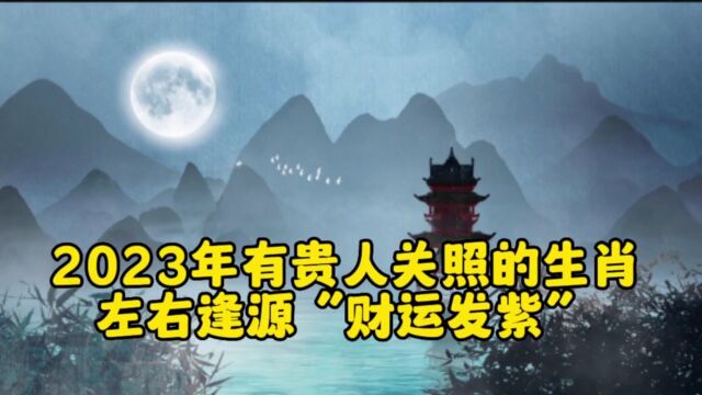 2023年有贵人关照的生肖 左右逢源“财运发紫”