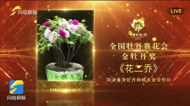 “花开盛世”2023中国牡丹之都(菏泽)卓越贡献奖和牡丹系列奖项颁奖典礼 | 菏泽鲁菏牡丹种植专业合作社的牡丹赛花会《花二乔》获金牡丹奖