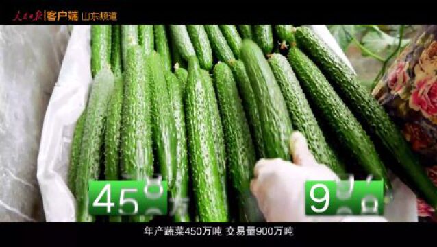 人民日报解码:农业大省山东如何在农业现代化走在前?