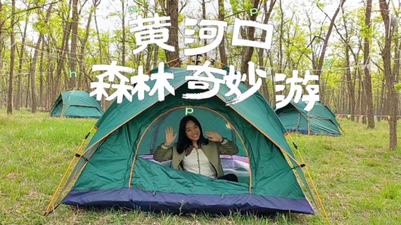 五一游山东是项多选题|记者Vlog:黄河口森林奇妙游