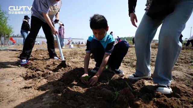 乡村游体验农耕文化 假日里感受劳动乐趣