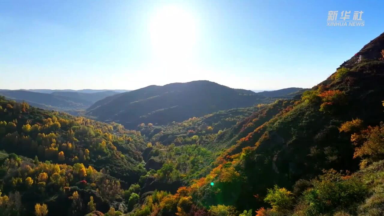 宁夏隆德:绚丽多彩秋日美