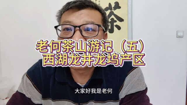 来喝一杯好龙井,不一定是西湖龙井哦!我在杭州龙坞