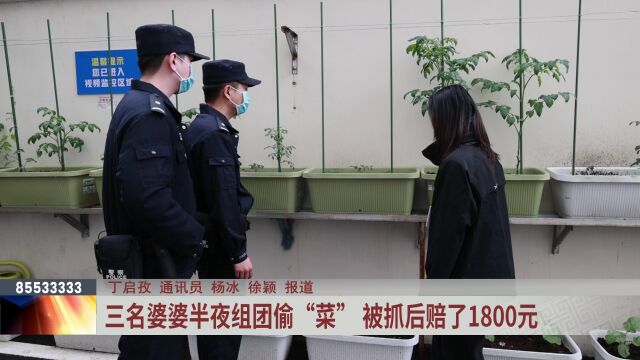 三名婆婆半夜组团偷菜 被抓后赔了1800元