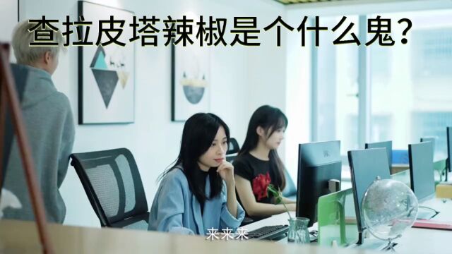 查拉皮塔辣椒是个什么鬼?