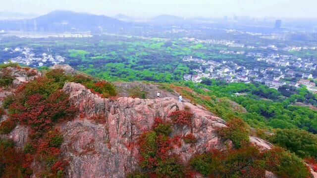 苏州小黄山天池花山,秋天爬山才是顶流运动#满山遍野映山红 #登上山顶看美景 #秋天该有的样子 #大自然的鬼斧神工