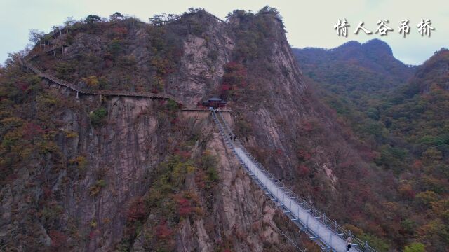 秋日情人谷