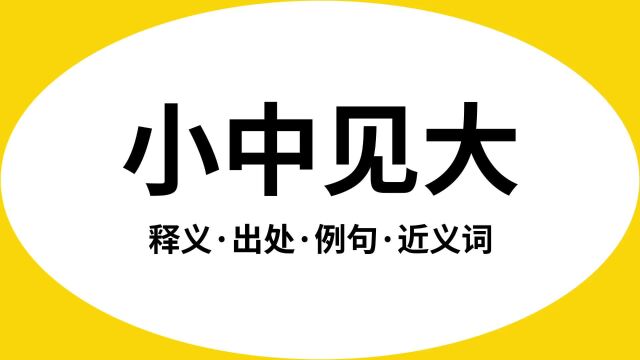 “小中见大”是什么意思?