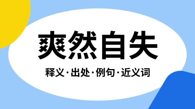 “爽然自失”是什么意思?