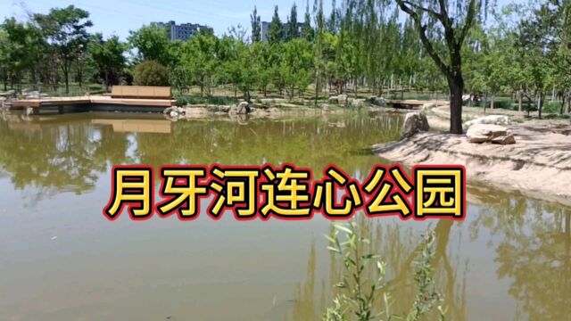 免费公园之月牙河连心公园,有绿道健身器湖泊可遛狗