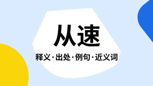 “从速”是什么意思?