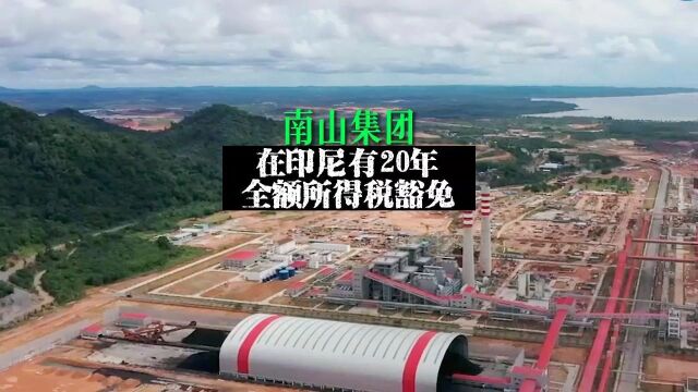 南山在印尼有 20 年全额所得税豁免,2028年电解铝产能达100万吨