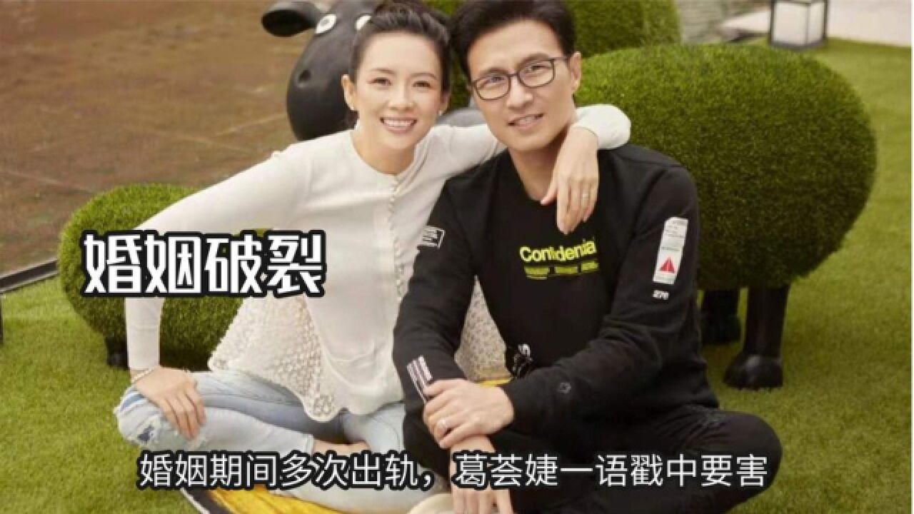 汪峰章子怡离婚原因曝光,婚姻期间多次出轨,葛荟婕一语戳中要害