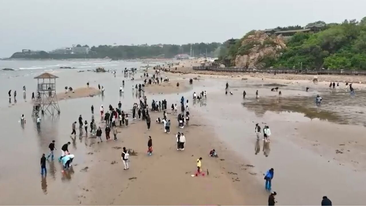 河北秦皇岛赶海季开启滨海休闲度假新体验