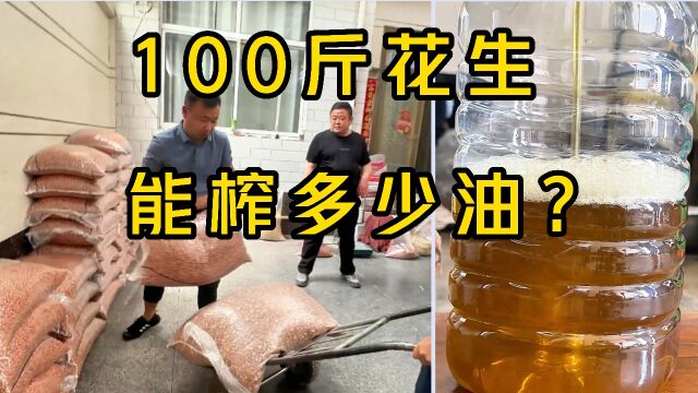 100斤花生能榨多少纯花生油,你知道吗?