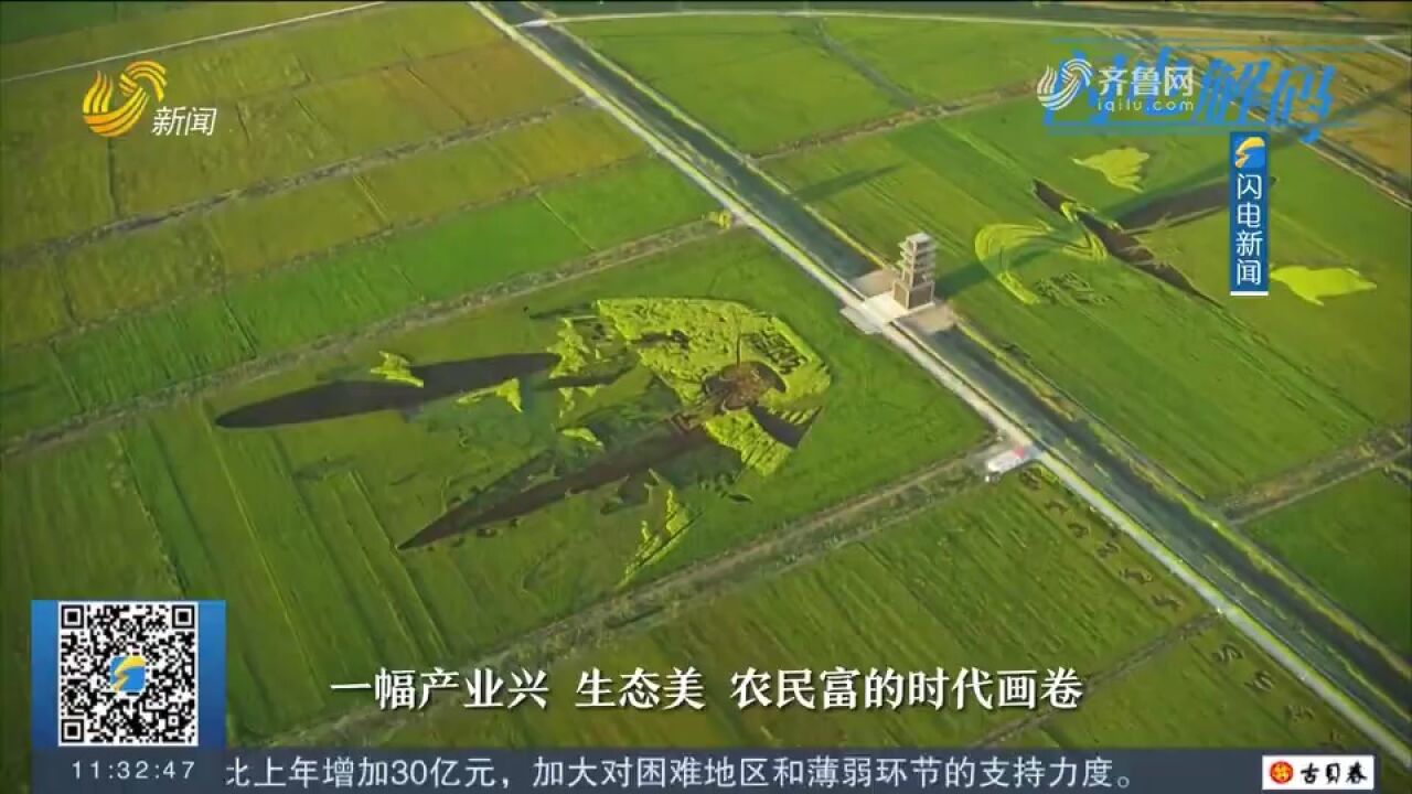 山东扛牢农业大省责任,推动乡村“五大振兴”,助力实现共同富裕