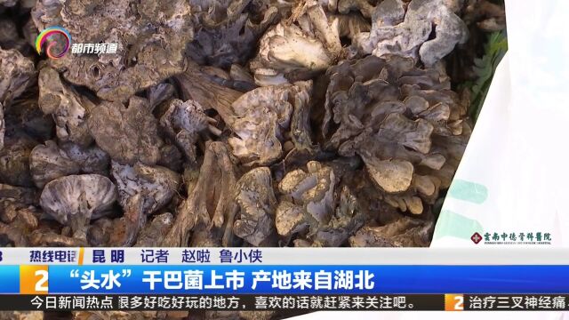 “头水”干巴菌上市 产地来自湖北