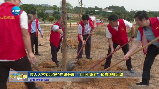 市人大常委会在桥冲镇开展“十月小阳春”植树造林活动