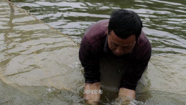 顺德名菜“风生水起”,看起来很好吃的样子