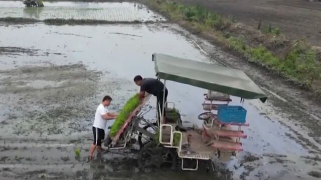 在希望的田野上,智慧农业助力节本增效