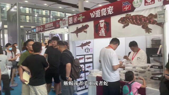 长城宠物水族展,兜了几圈氛围特别好