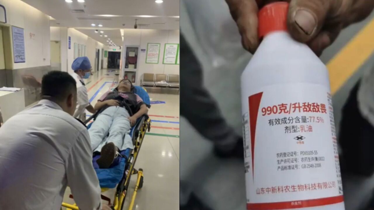 绿化工配错“敌敌畏”浓度,水药比例差10倍,多名业主中毒被紧急送医