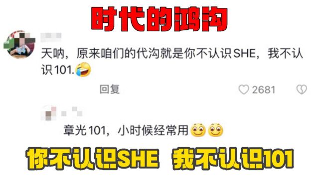 时代的鸿沟:你不认识SHE,我不认识101!互联网真的换了一批人!