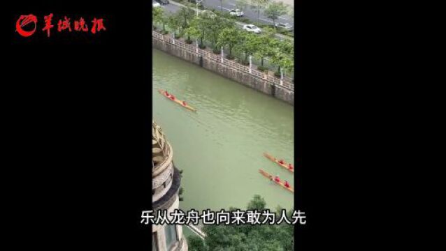 视频ⷥ䧧𞎥𒭥— | 佛山顺德乐从:龙翔潜海 乘风破浪