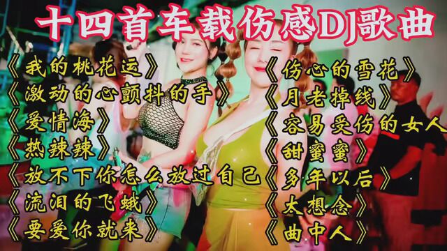 车伤感劲爆DJ嗨曲 #车载u盘 #车载DJ #车载音乐