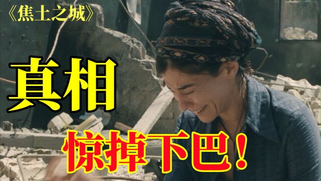 豆瓣8.6高分震撼神作,故事真相不可思议!悬疑电影《焦土之城》