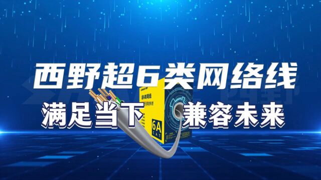 新品上市!西野超六类万兆网线,畅享万兆家庭网络体验