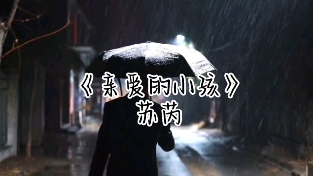 苏芮《亲爱的小孩》歌曲视频音乐MV