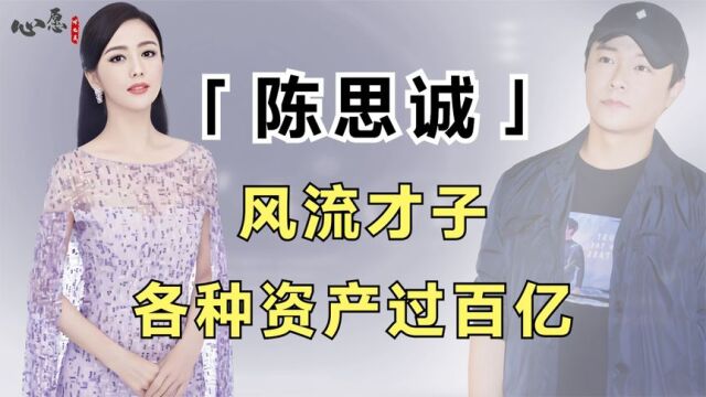 美貌在金钱前不值一提,看到陈思诚的资产,才懂他为何放弃佟丽娅