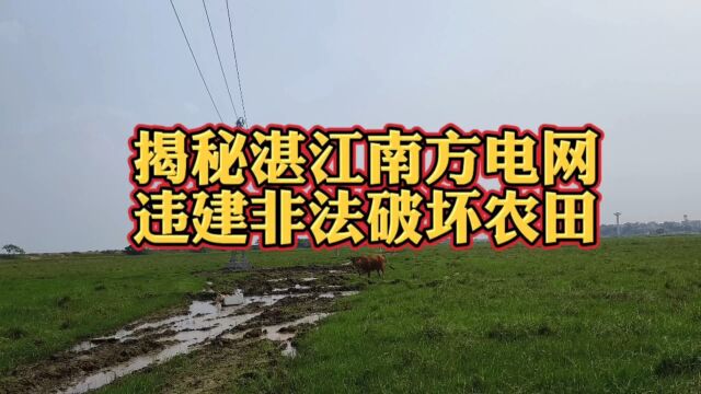 揭秘湛江南方电网违建破坏农田