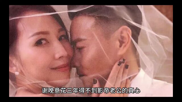 新书《离婚后,冷冰冰前夫诱哄求复合》谢晚意全文