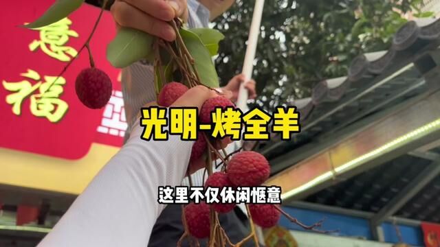 聚餐团建来万合农庄,这里厂地大关键还有美味的烤全羊,左下角赶紧冲#深圳团建 #端午美食申请交卷 #毕业的狂欢从聚餐开始