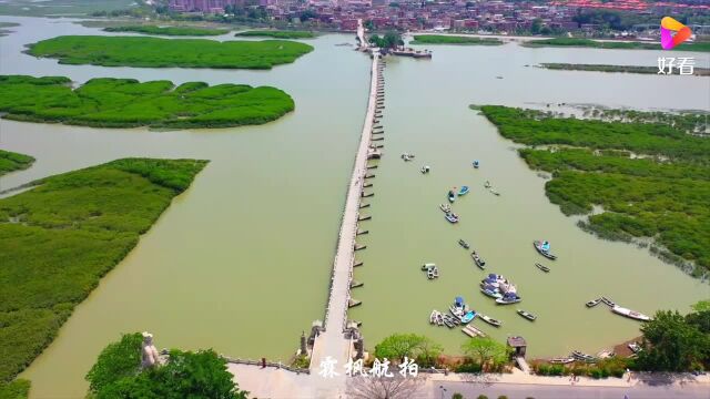 建在海上的古桥,没有钢筋水泥一直在使用,福建泉州洛阳桥!