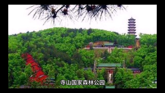 西峡县寺山森林公园