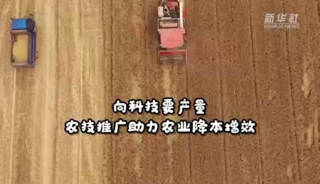 向科技要产量 农技推广助力农业降本增效