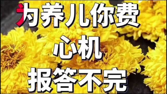 报母恩《哭妈》#哀悼 #精彩戏曲