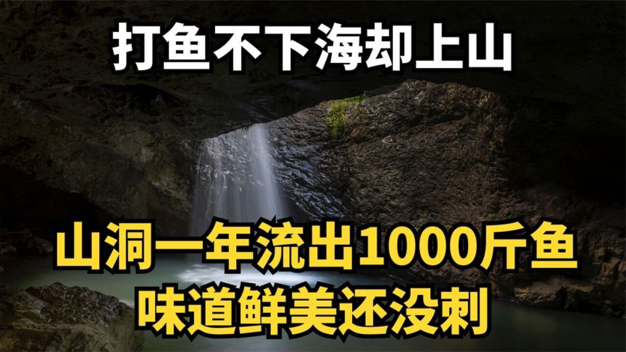 村民上山打鱼,神奇山洞一年流出1000斤鱼,这是何缘故?