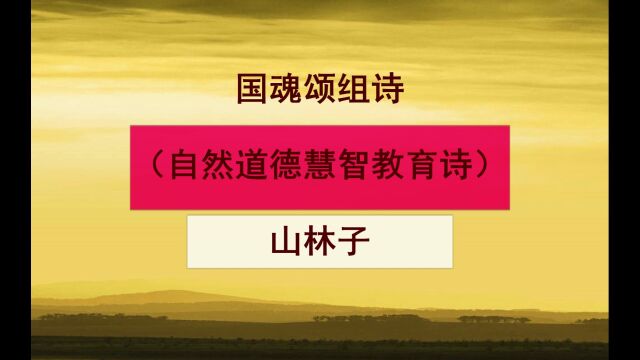 《国魂颂组诗》6 山林子自然智慧诗 鹤清智慧教育工作室