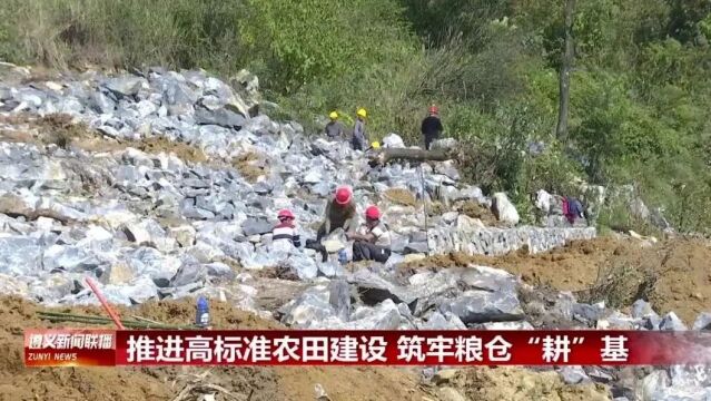 【视频】推进高标准农田建设 筑牢粮仓“耕”基