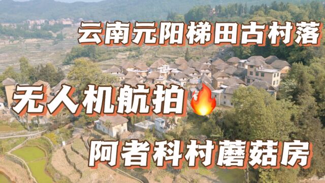 无人机拍摄,哈尼族梯田和原始古村落,阿者科村蘑菇房!