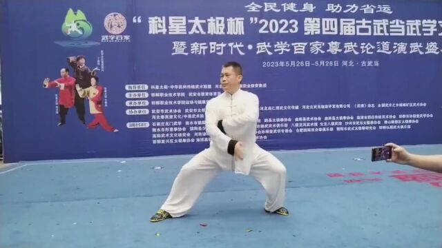 楚利涛名家表演 槐园太极拳第三代传人 2023古武当武学交流大会