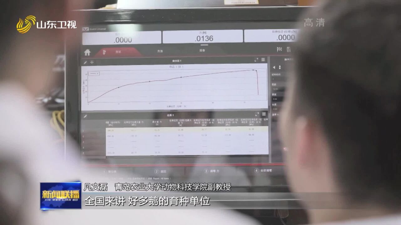 打造乡村振兴齐鲁样板丨科技小院孵育致富大鹅