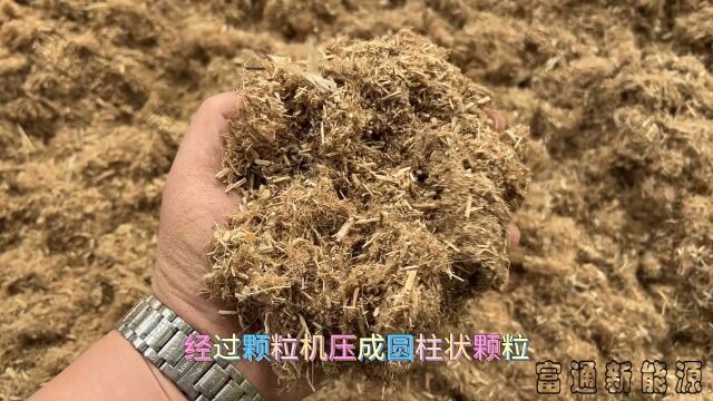 花生秧粉碎后经过颗粒机压成圆柱状颗粒饲料,压制的过程中高温高压有除菌除虫卵的功能,且高温使物料产生焦糊香味,增加了适口性,提高采食率,对有...