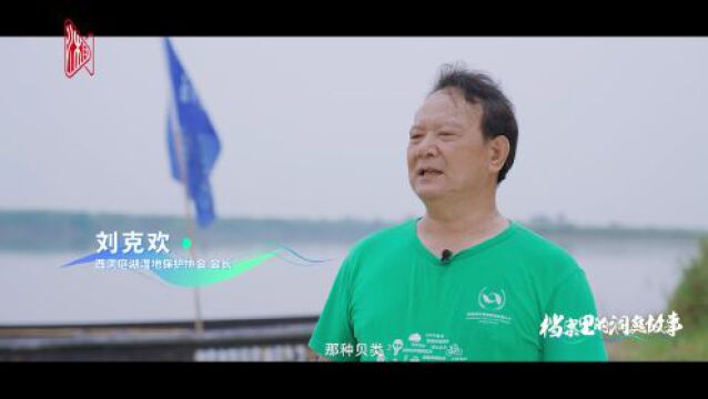 《档案里的洞庭故事》③丨万类霜天竞自由